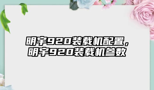 明宇920裝載機(jī)配置，明宇920裝載機(jī)參數(shù)