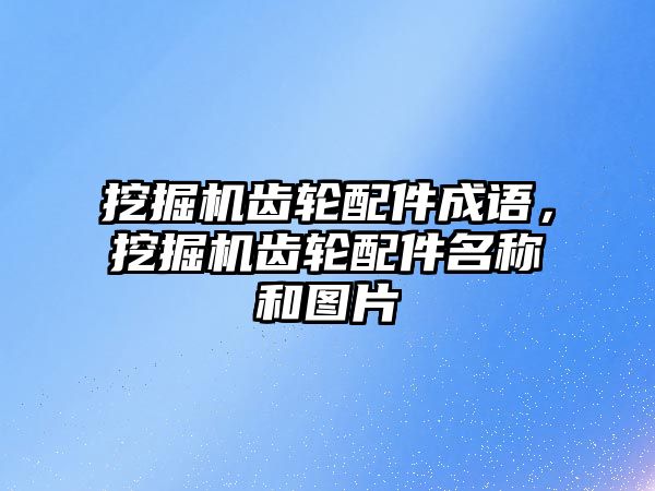 挖掘機齒輪配件成語，挖掘機齒輪配件名稱和圖片