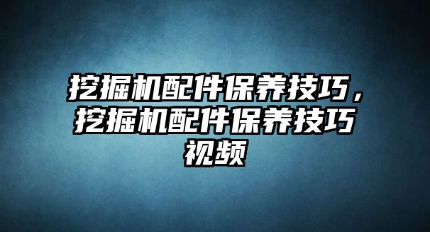 挖掘機配件保養技巧，挖掘機配件保養技巧視頻