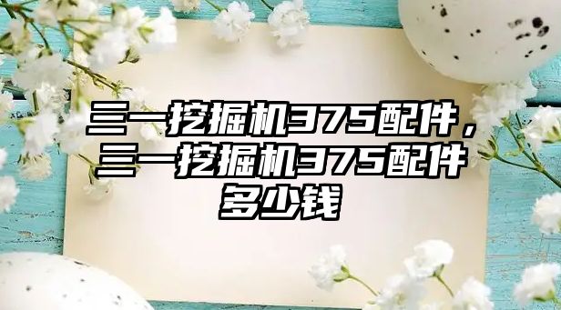 三一挖掘機375配件，三一挖掘機375配件多少錢