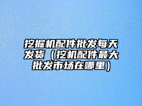 挖掘機配件批發每天發貨（挖機配件最大批發市場在哪里）