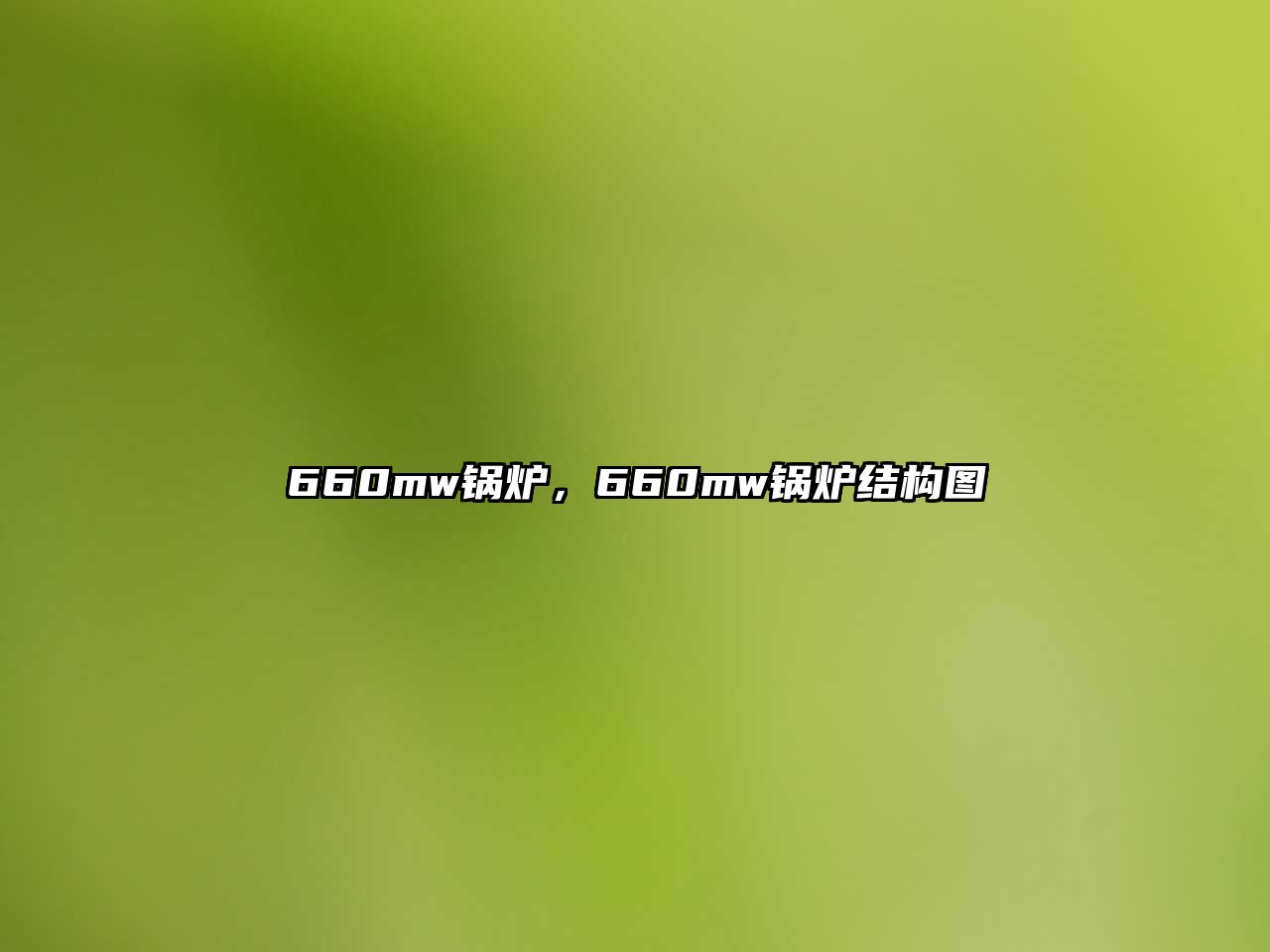 660mw鍋爐，660mw鍋爐結構圖