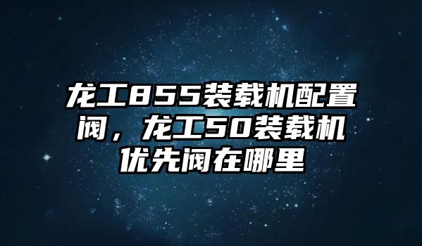 龍工855裝載機配置閥，龍工50裝載機優(yōu)先閥在哪里