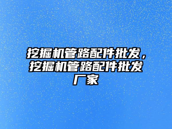 挖掘機管路配件批發(fā)，挖掘機管路配件批發(fā)廠家