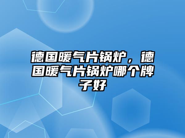 德國暖氣片鍋爐，德國暖氣片鍋爐哪個(gè)牌子好