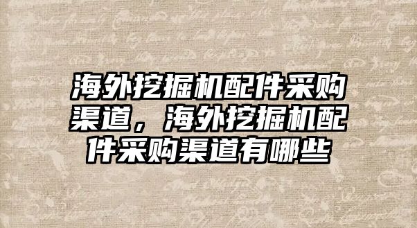 海外挖掘機配件采購渠道，海外挖掘機配件采購渠道有哪些