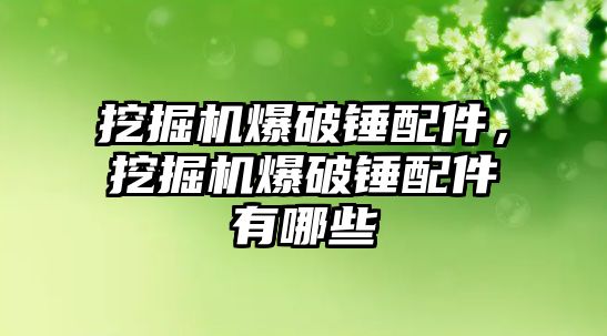 挖掘機爆破錘配件，挖掘機爆破錘配件有哪些