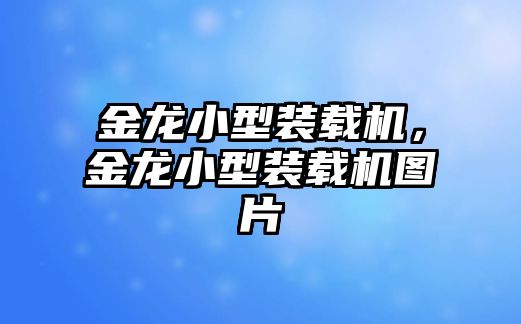 金龍小型裝載機(jī)，金龍小型裝載機(jī)圖片