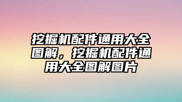 挖掘機配件通用大全圖解，挖掘機配件通用大全圖解圖片