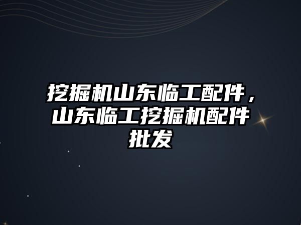 挖掘機山東臨工配件，山東臨工挖掘機配件批發