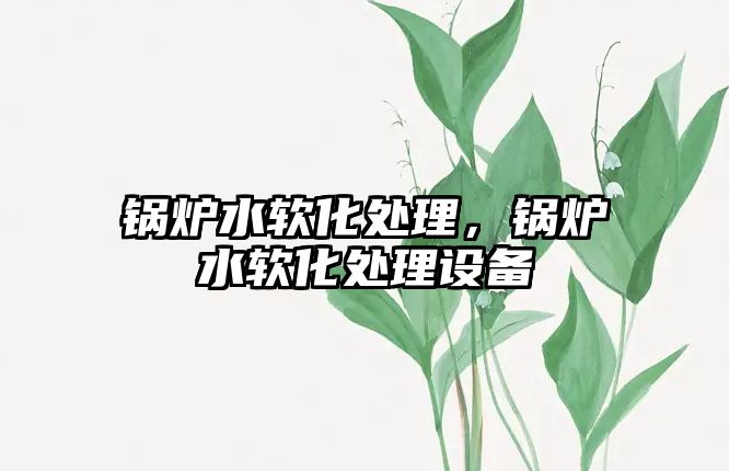 鍋爐水軟化處理，鍋爐水軟化處理設(shè)備