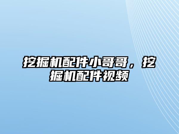 挖掘機配件小哥哥，挖掘機配件視頻