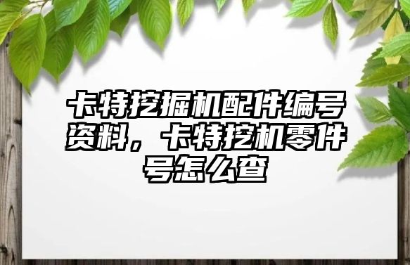 卡特挖掘機配件編號資料，卡特挖機零件號怎么查