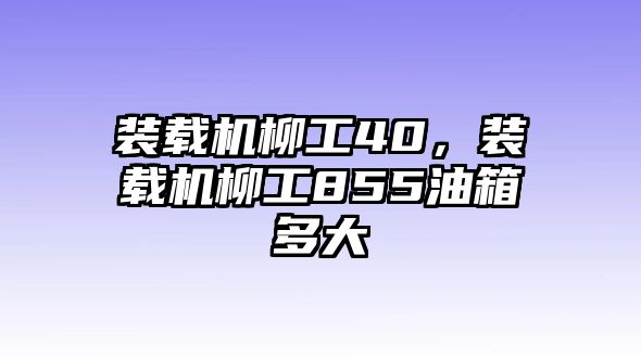 裝載機柳工40，裝載機柳工855油箱多大