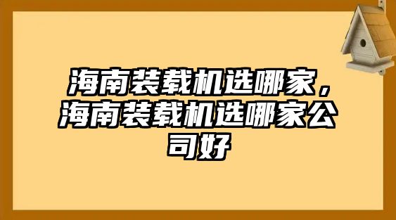 海南裝載機選哪家，海南裝載機選哪家公司好