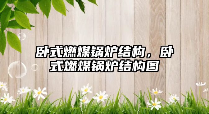 臥式燃煤鍋爐結構，臥式燃煤鍋爐結構圖