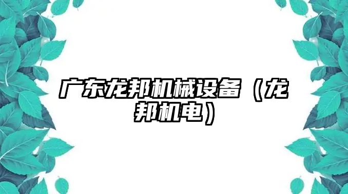 廣東龍邦機械設備（龍邦機電）