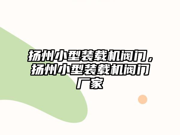 揚州小型裝載機閥門，揚州小型裝載機閥門廠家