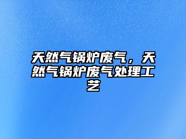 天然氣鍋爐廢氣，天然氣鍋爐廢氣處理工藝