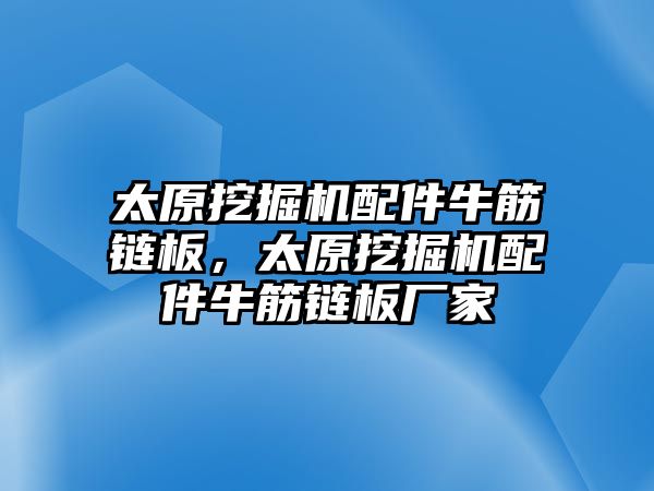 太原挖掘機配件牛筋鏈板，太原挖掘機配件牛筋鏈板廠家