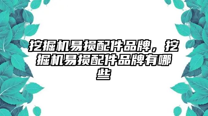 挖掘機易損配件品牌，挖掘機易損配件品牌有哪些