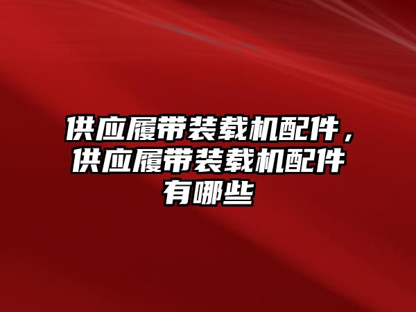 供應(yīng)履帶裝載機配件，供應(yīng)履帶裝載機配件有哪些