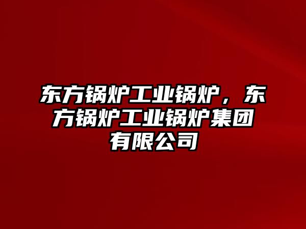 東方鍋爐工業鍋爐，東方鍋爐工業鍋爐集團有限公司