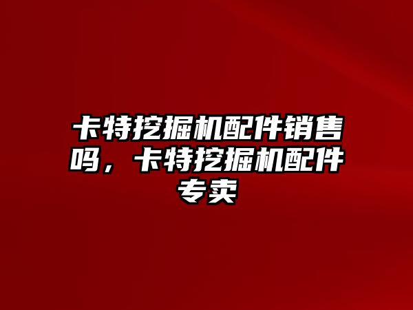 卡特挖掘機配件銷售嗎，卡特挖掘機配件專賣