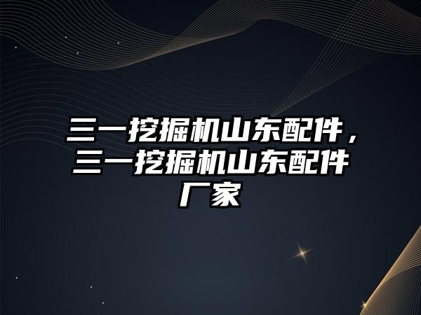 三一挖掘機山東配件，三一挖掘機山東配件廠家