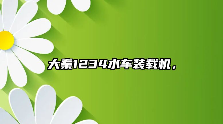 大秦1234水車裝載機，