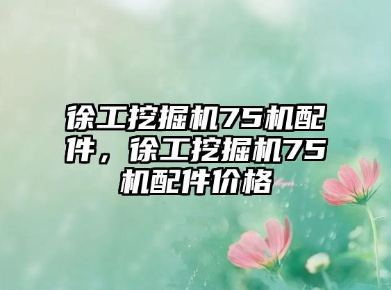 徐工挖掘機75機配件，徐工挖掘機75機配件價格