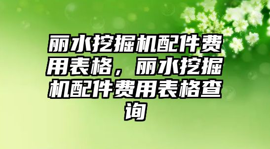 麗水挖掘機配件費用表格，麗水挖掘機配件費用表格查詢