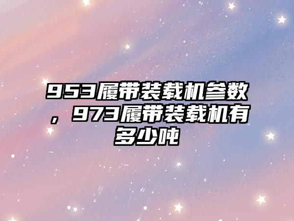 953履帶裝載機參數，973履帶裝載機有多少噸