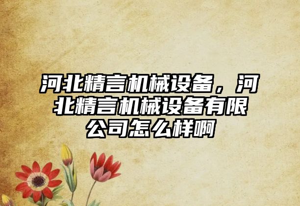 河北精言機械設備，河北精言機械設備有限公司怎么樣啊