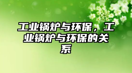 工業鍋爐與環保，工業鍋爐與環保的關系