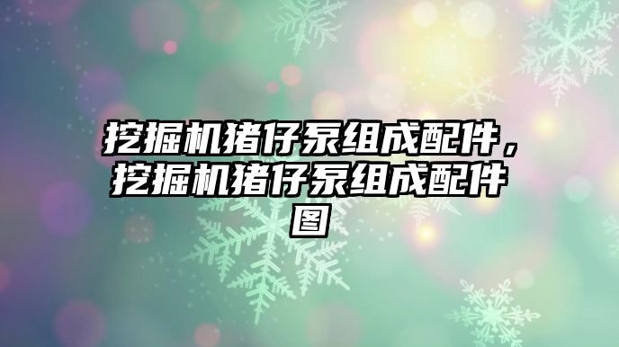 挖掘機豬仔泵組成配件，挖掘機豬仔泵組成配件圖