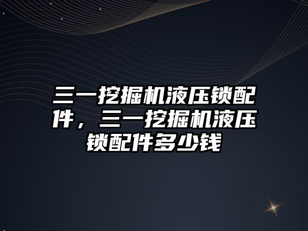 三一挖掘機液壓鎖配件，三一挖掘機液壓鎖配件多少錢