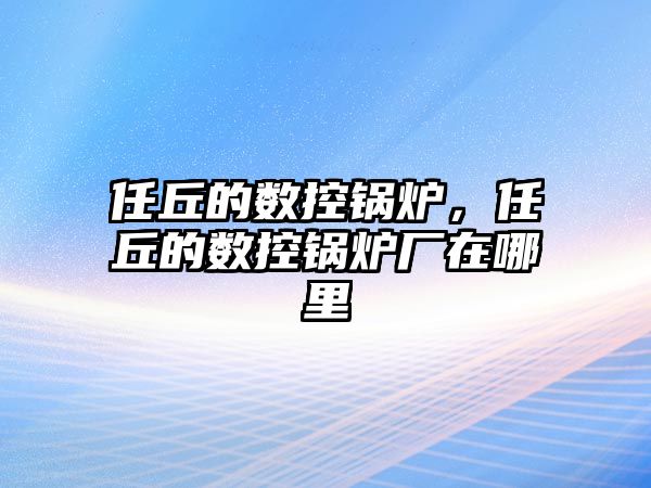 任丘的數(shù)控鍋爐，任丘的數(shù)控鍋爐廠在哪里