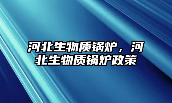 河北生物質鍋爐，河北生物質鍋爐政策