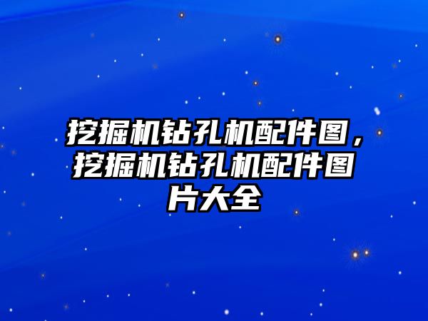 挖掘機鉆孔機配件圖，挖掘機鉆孔機配件圖片大全