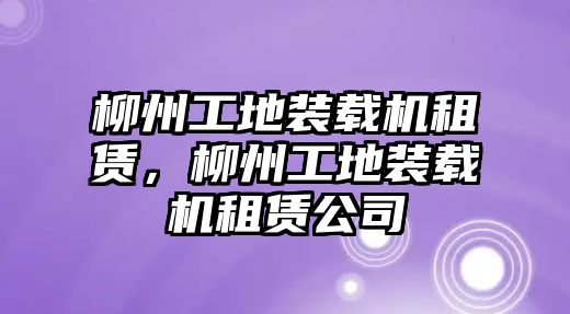 柳州工地裝載機租賃，柳州工地裝載機租賃公司