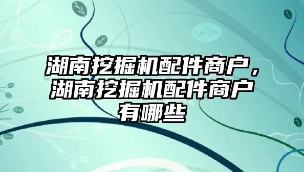 湖南挖掘機配件商戶，湖南挖掘機配件商戶有哪些