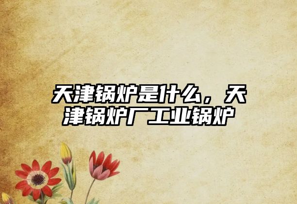 天津鍋爐是什么，天津鍋爐廠工業(yè)鍋爐