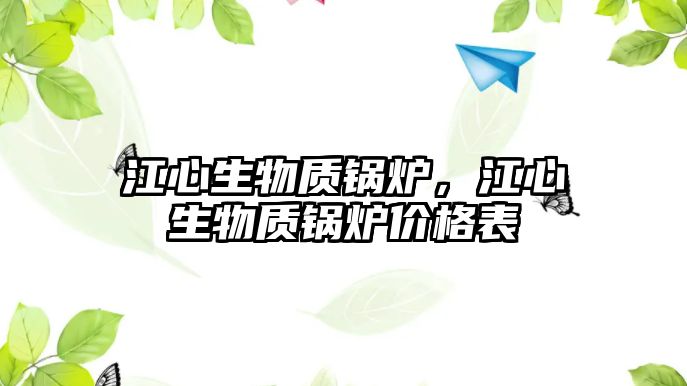 江心生物質鍋爐，江心生物質鍋爐價格表