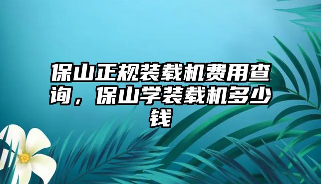 保山正規(guī)裝載機費用查詢，保山學裝載機多少錢