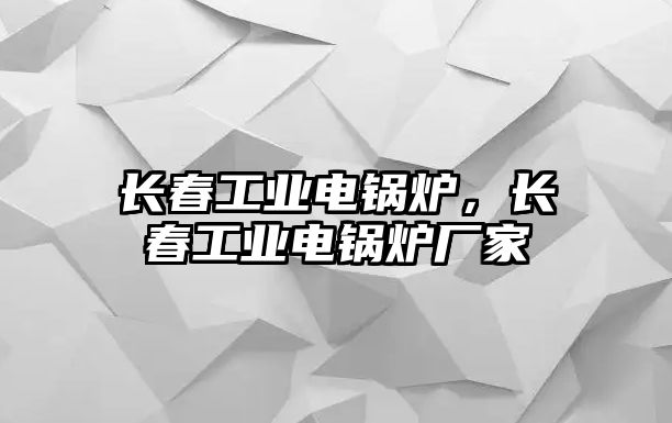 長春工業電鍋爐，長春工業電鍋爐廠家