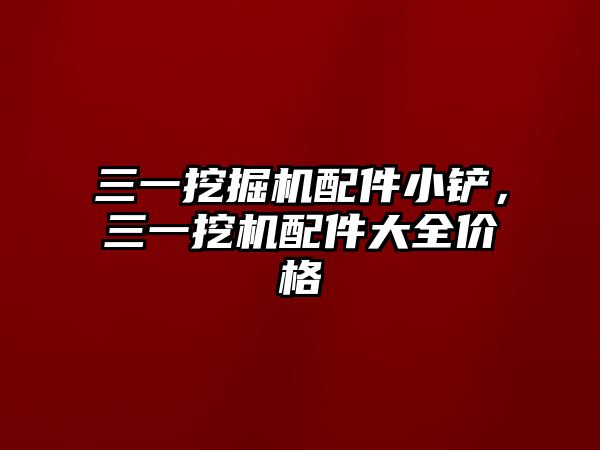 三一挖掘機配件小鏟，三一挖機配件大全價格