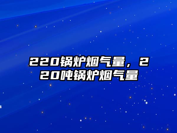 220鍋爐煙氣量，220噸鍋爐煙氣量