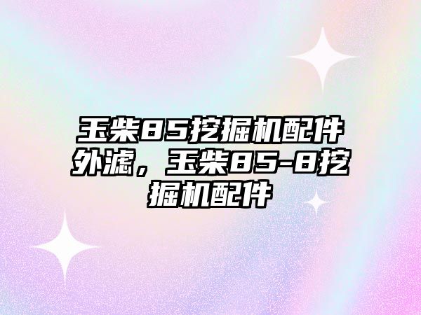 玉柴85挖掘機(jī)配件外濾，玉柴85-8挖掘機(jī)配件