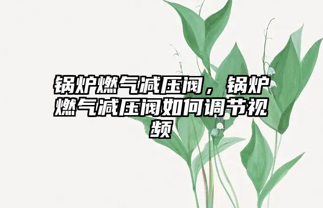 鍋爐燃氣減壓閥，鍋爐燃氣減壓閥如何調節視頻